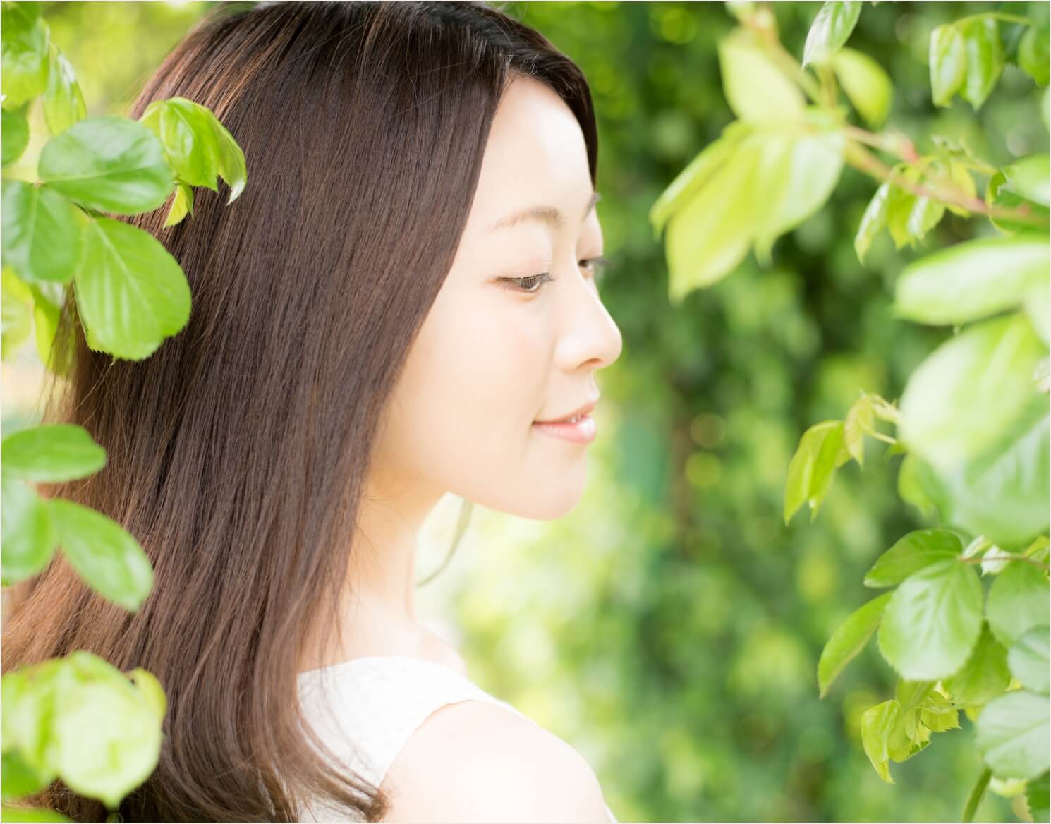 ボタニカルシャンプーとはのサムネイル写真