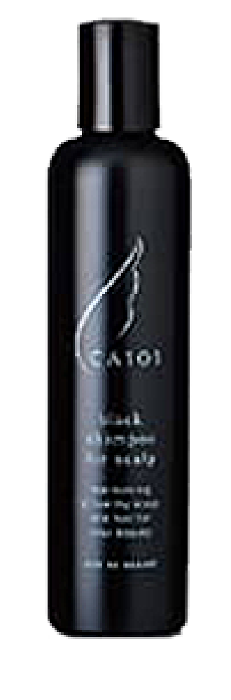 CA101のパッケージ写真